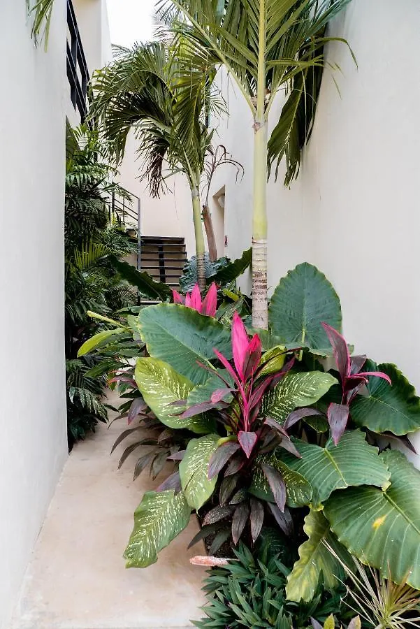 Hotel Mayanah Bacalar